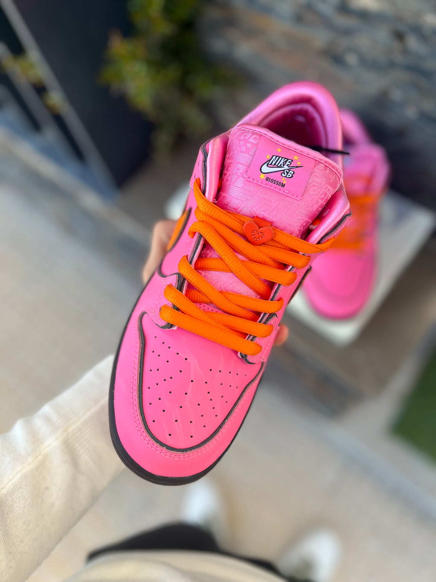 Nike dunk SB powerhuf PINK